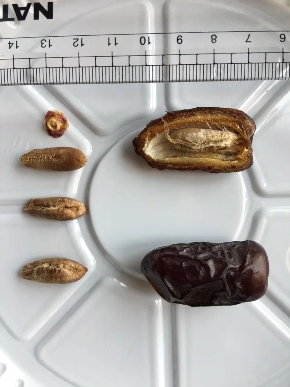 Kurma Safawi Grade A 500g